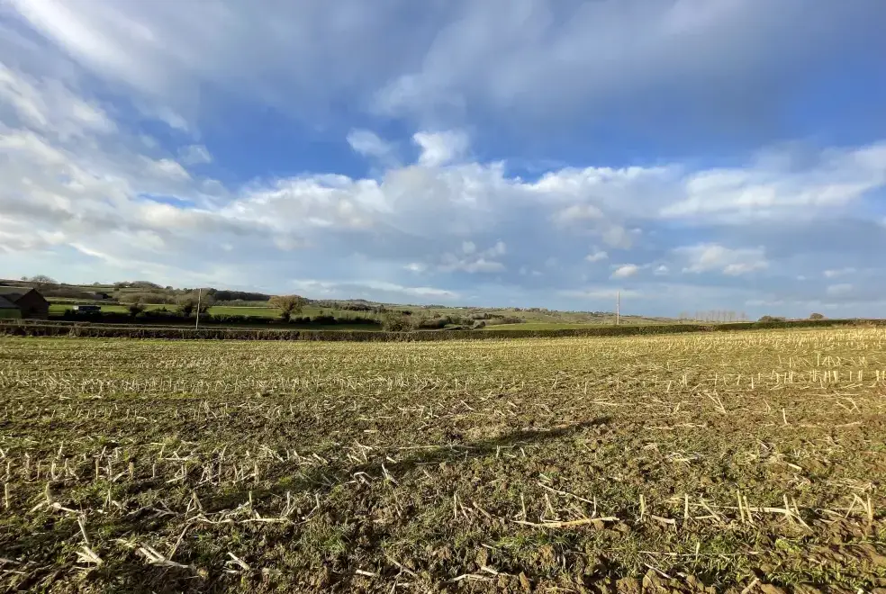 Countryside views at The Little Beehive