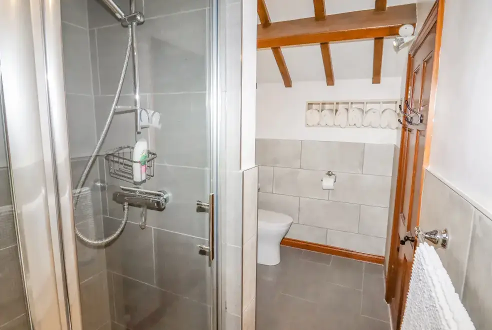 Shower room at The Little White Cottage, North Wales 
