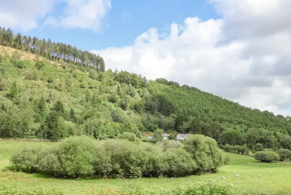 Countryside views at The Little White Cottage, North Wales 