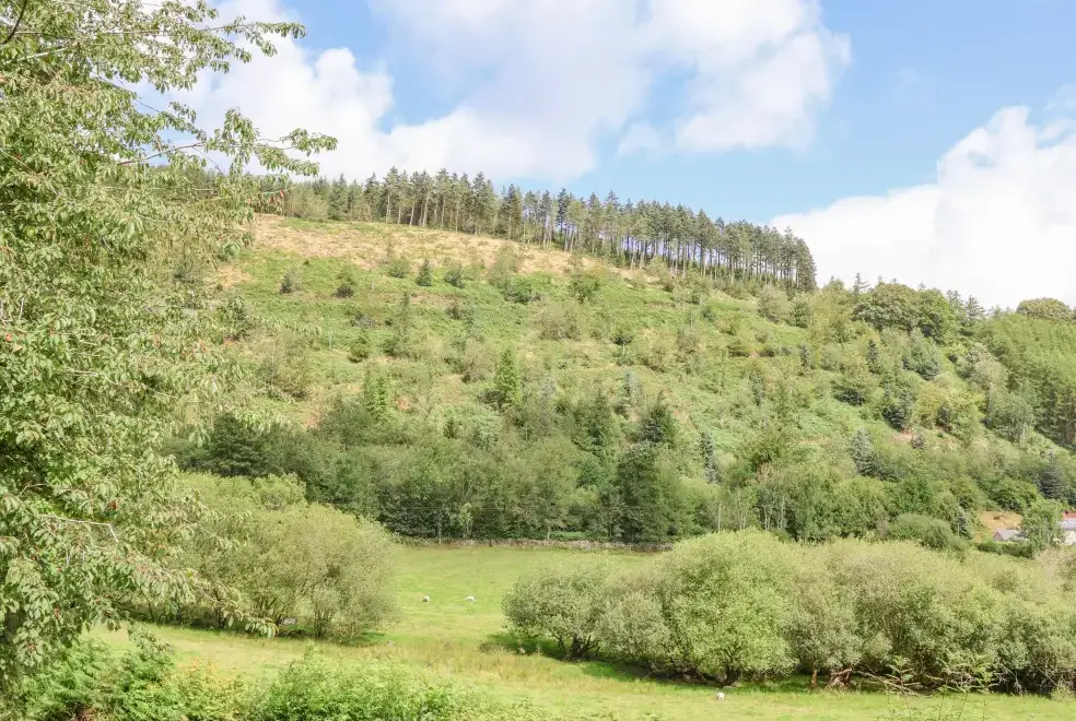 Countryside views at The Little White Cottage, North Wales 
