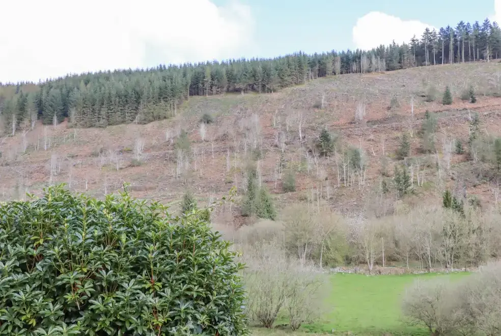 Countryside views at The Little White Cottage, North Wales 