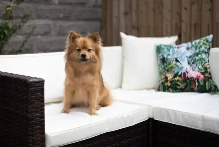 Garden furniture at The Locks