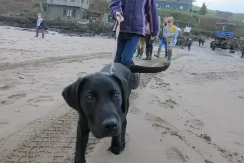 Coastal scenes near The Lodge at Colmer, Kingsbridge, Devon