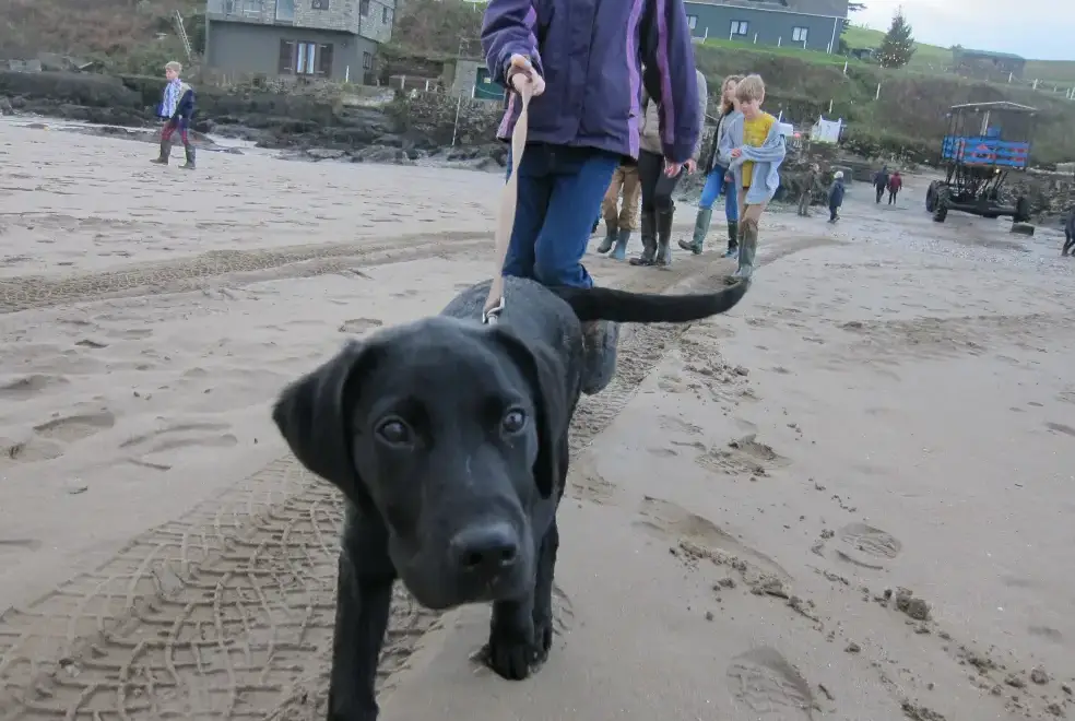 Coastal scenes near The Lodge at Colmer, Kingsbridge