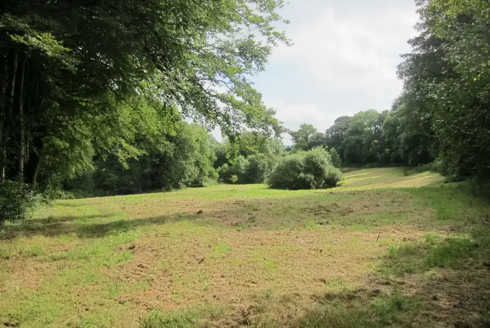 Countryside views at The Lodge at Colmer, Kingsbridge
