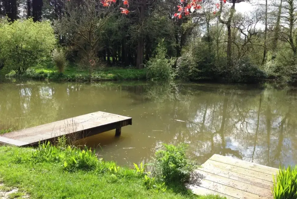 Countryside views at The Lodge at Colmer, Kingsbridge