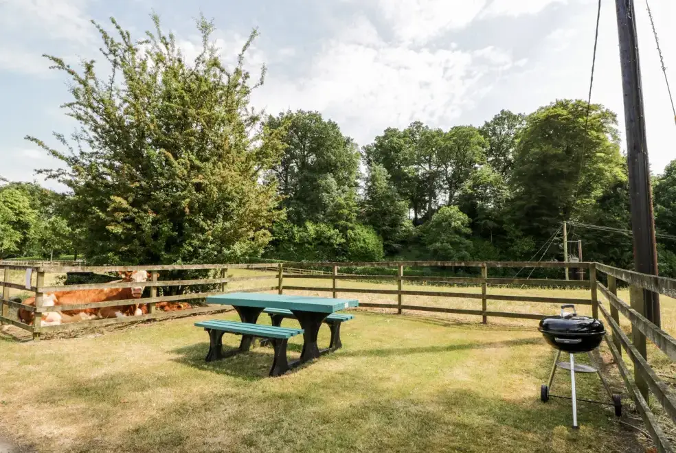 Garden at The Mews Flat