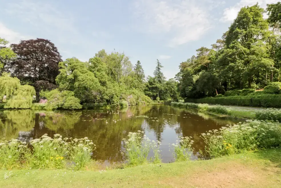 Lake view at The Mews Flat