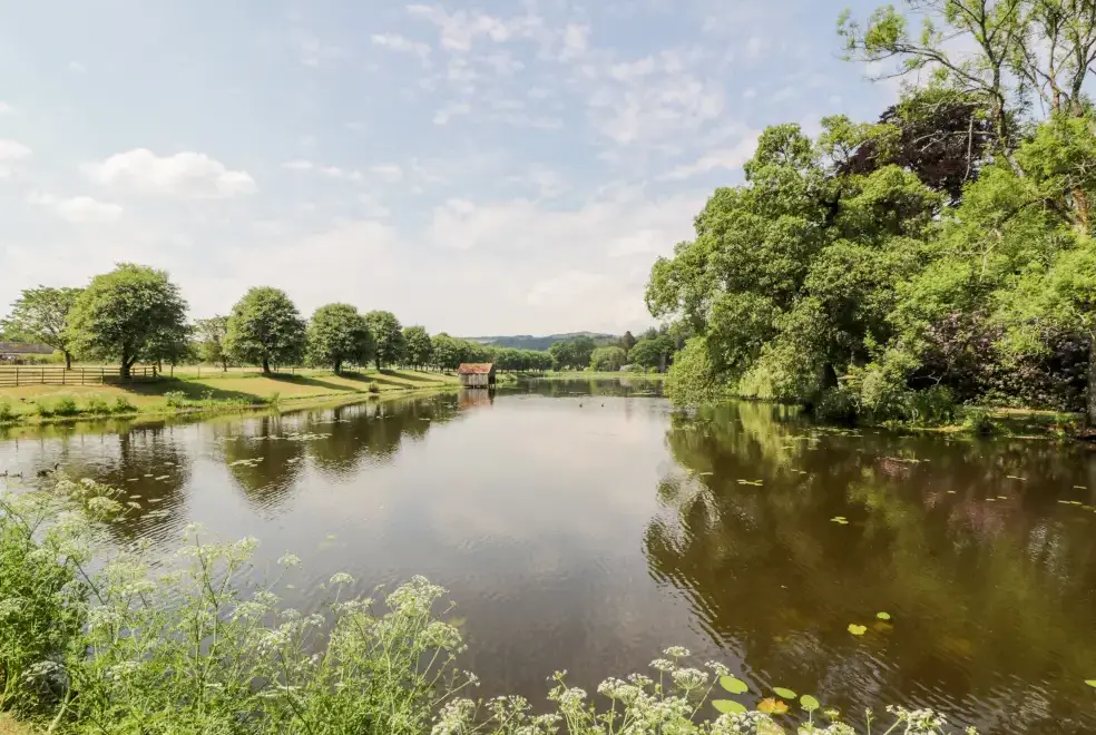 Lake view at The Mews Flat