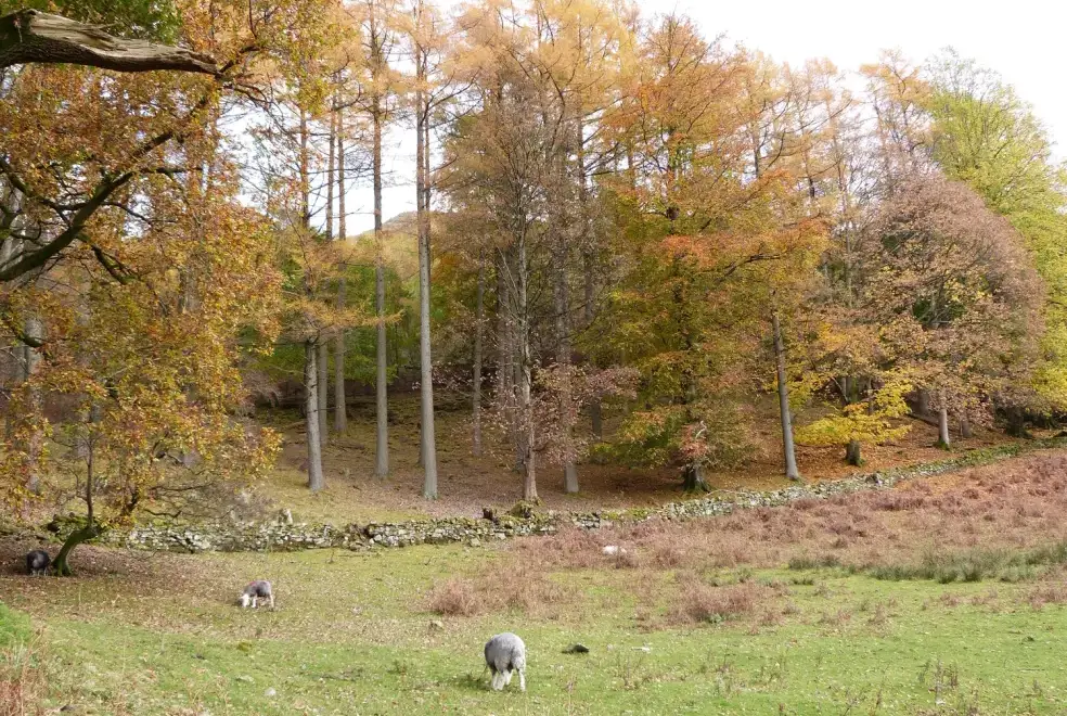 Countryside views at The Oaks