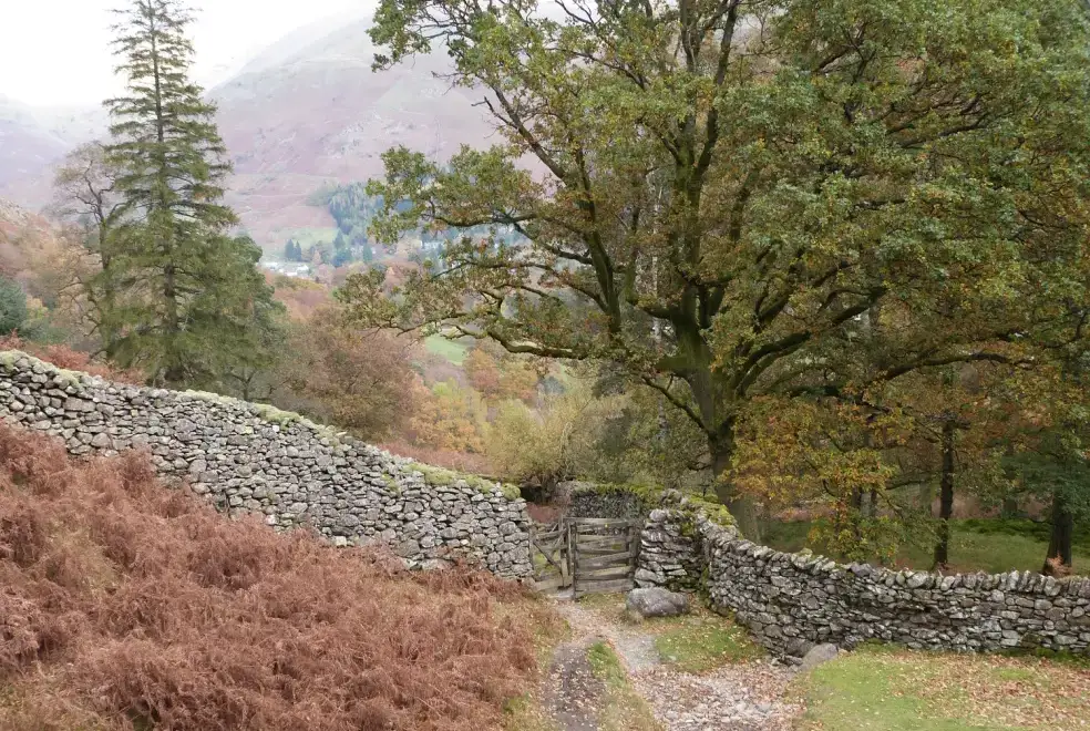 Countryside near The Oaks