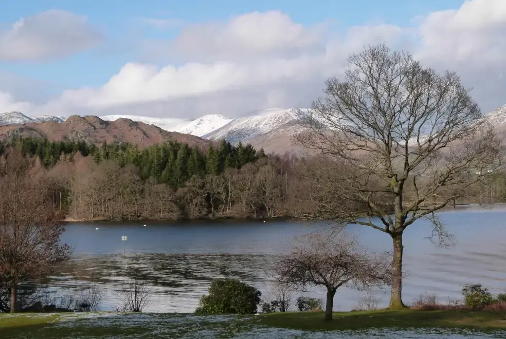Lake view at The Oaks