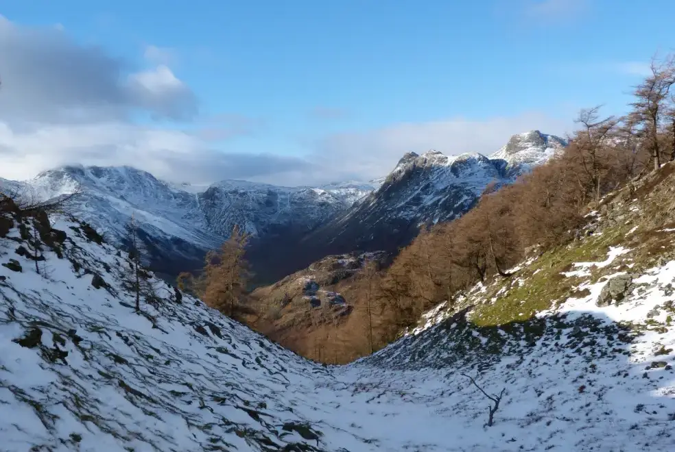 Countryside views at The Oaks