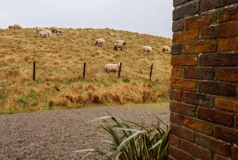 Countryside near The Old Guard House