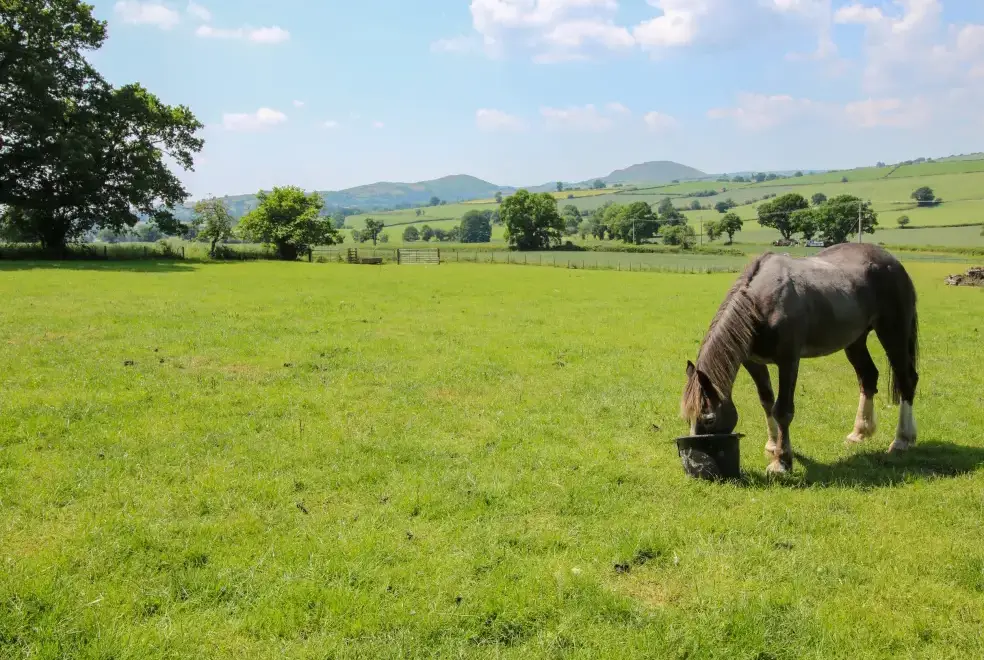 Countryside views at The Olde Cow House, Shropshire Hills