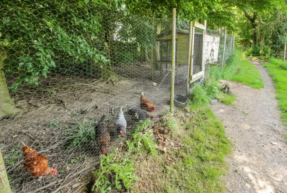Enclosed garden at The Olde Cow House, Shropshire Hills