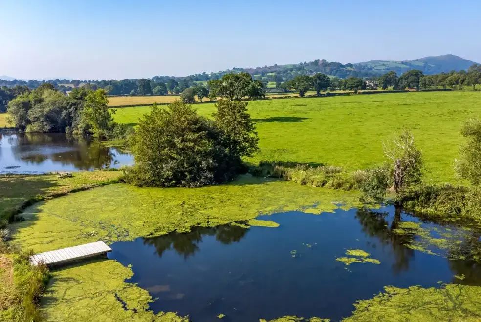 Countryside views at The Olde Cow House, Shropshire Hills