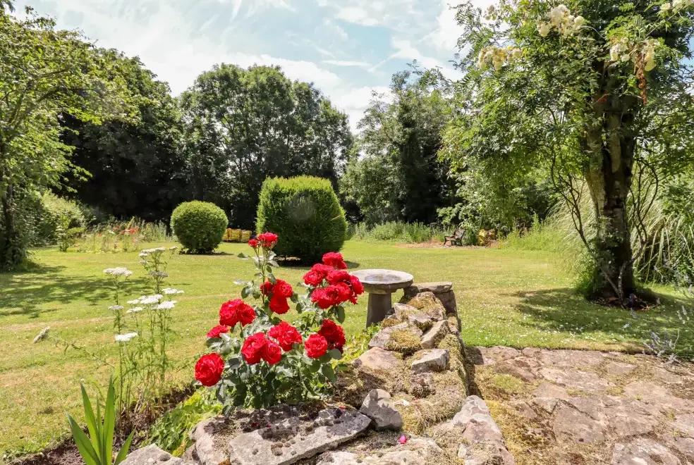 Garden at The Olde House