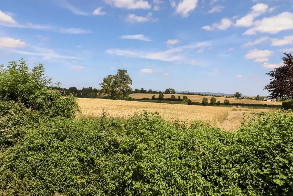 Countryside views at The Olde House