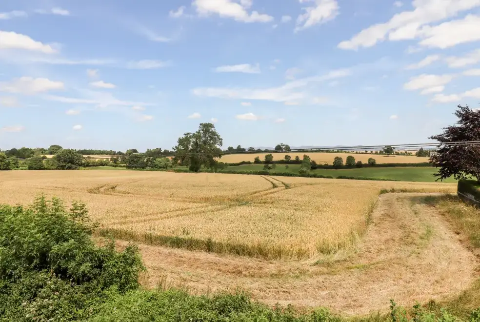 Countryside views at The Olde House