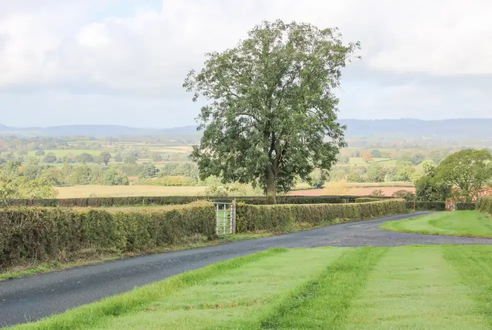 Countryside views at The Owl Barn