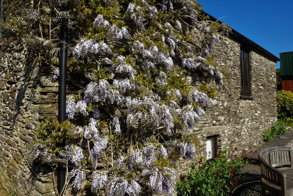 The Owlery, romantic couples' cottage, from the outside