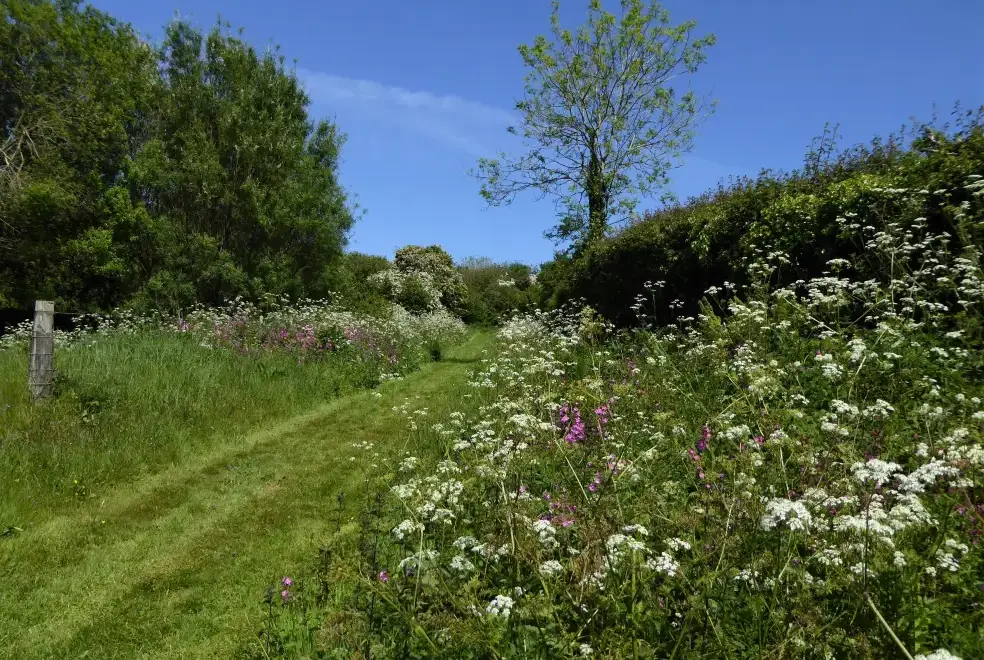 Countryside views at The Owlery, romantic couples' cottage