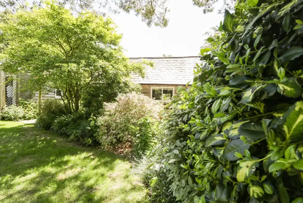 Garden at The Pottery