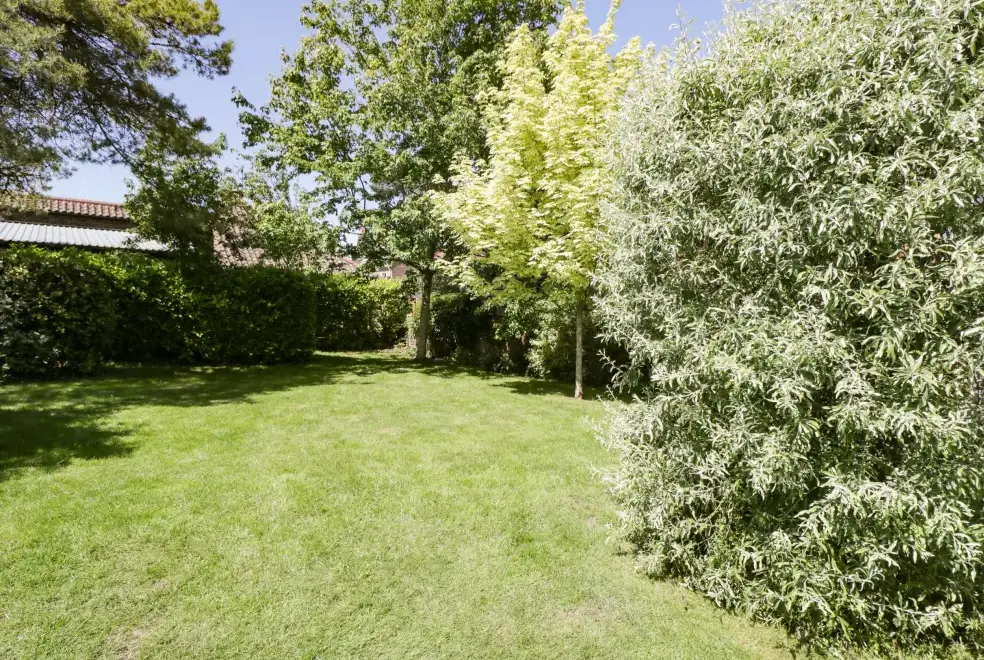 Garden at The Pottery