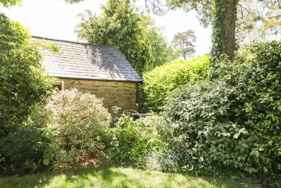 Garden at The Pottery