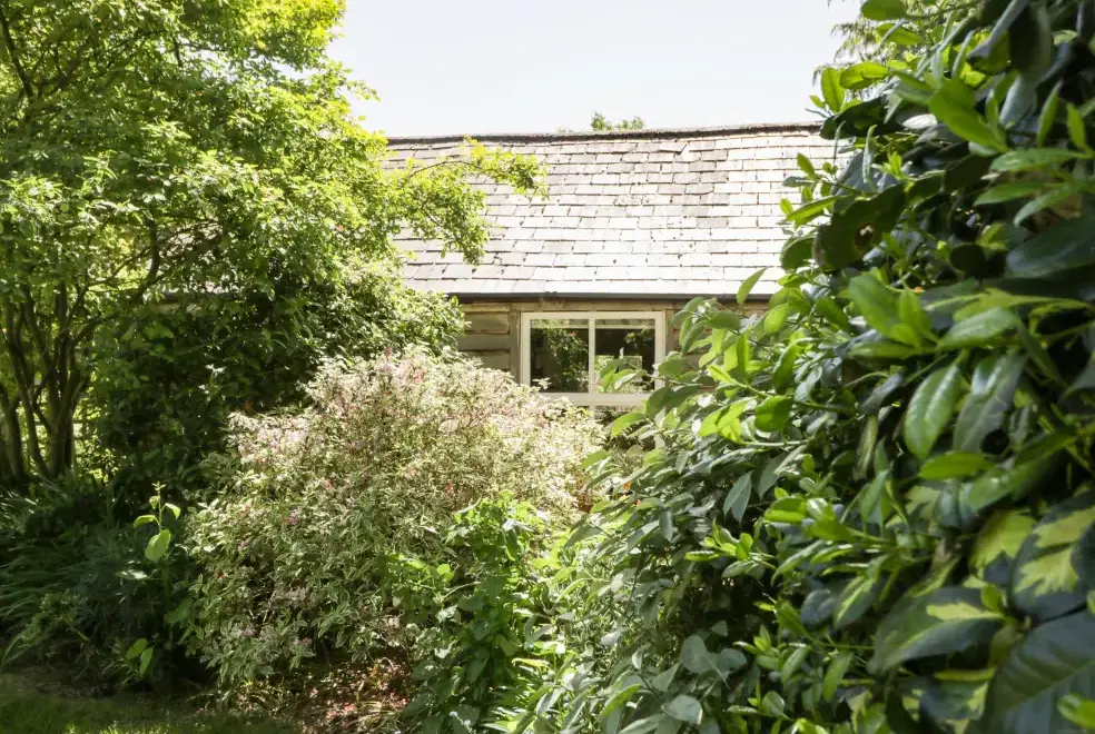 Garden at The Pottery