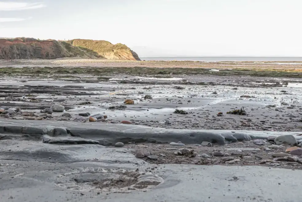 Coastal scenes near The Retreat