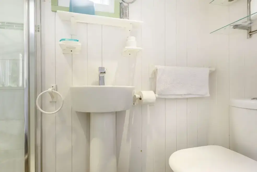 Shower room at The Shepherd's Hut