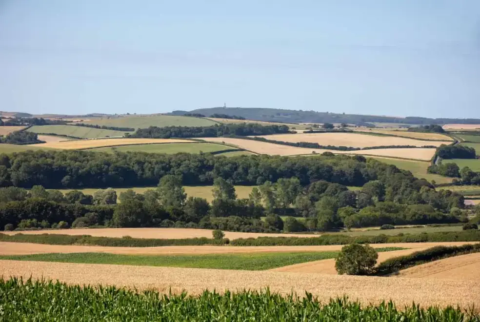Countryside views at The Shooting lodge, Wrackleford Estate