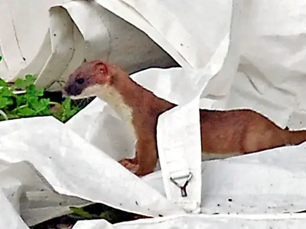 Surrounding area near The Springs Romantic Holiday Lodge