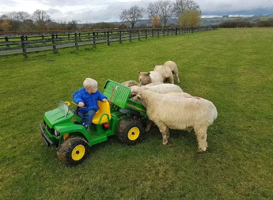 Countryside near The Stables Holiday Cottage