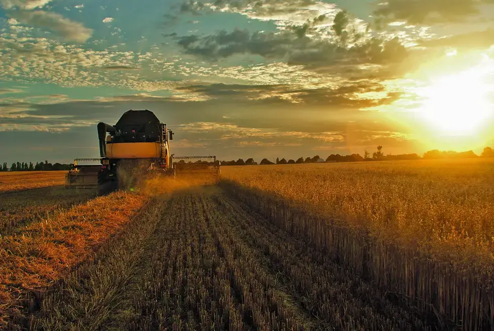 Countryside near The Stables