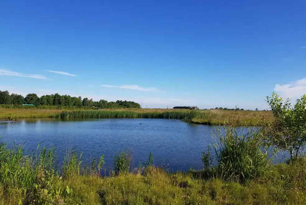 Lake view at The Stables
