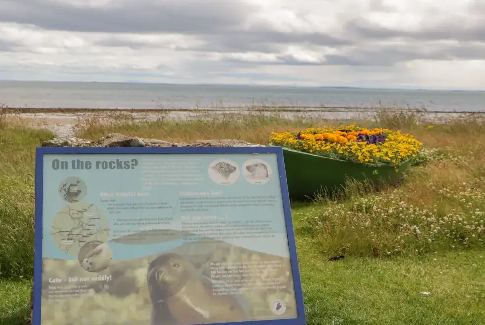Coastal scenes near The Steading
