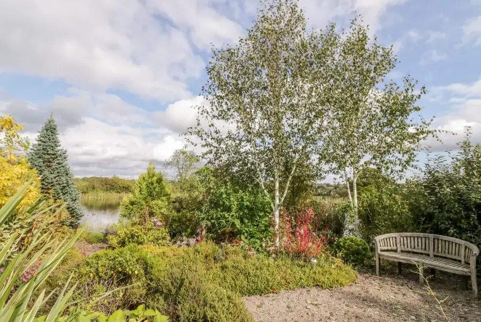 Garden at The Stilehouse Apartment