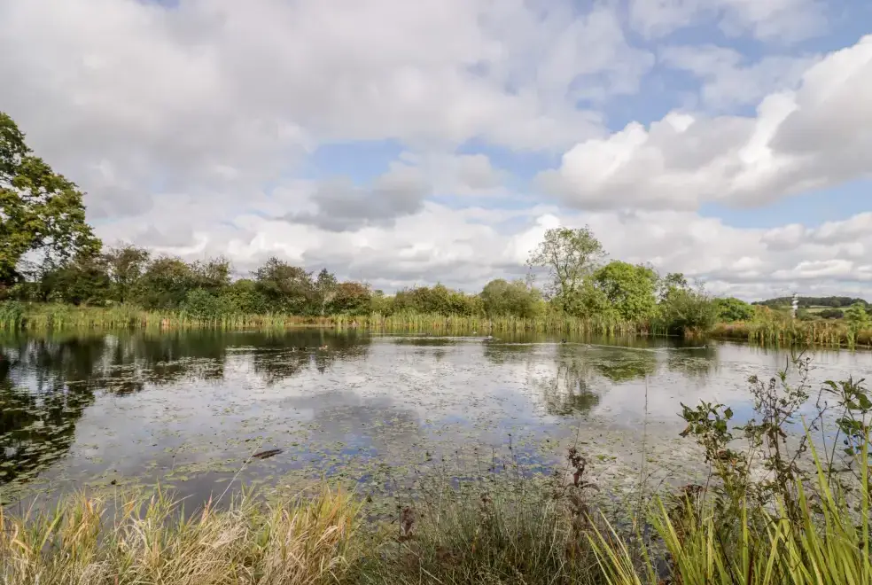 Lake view at The Stilehouse Apartment