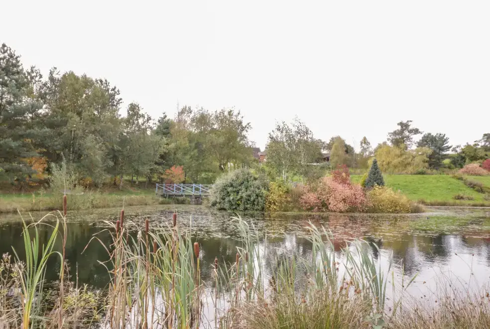 Lake view at The Stilehouse Apartment