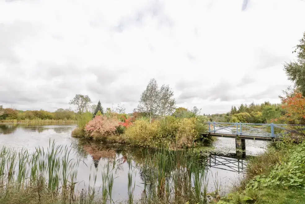 Lake view at The Stilehouse Apartment