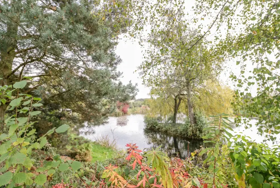 Lake view at The Stilehouse Apartment