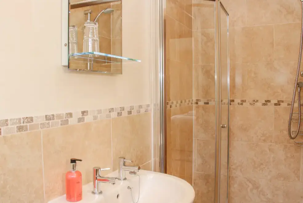 Shower room at The Turnip House