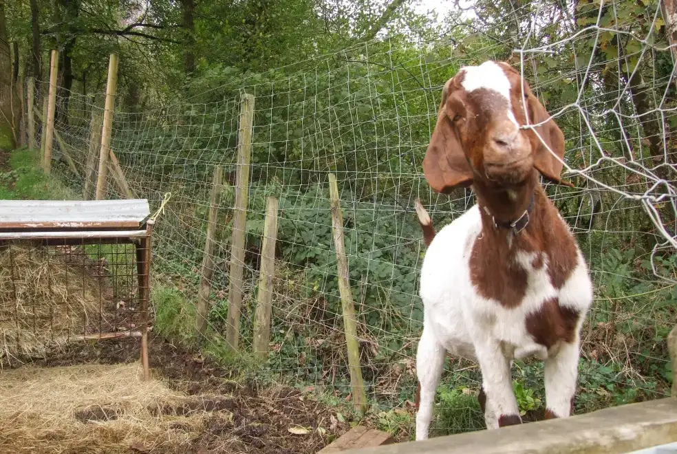 Countryside near The Woodlands Lower Level