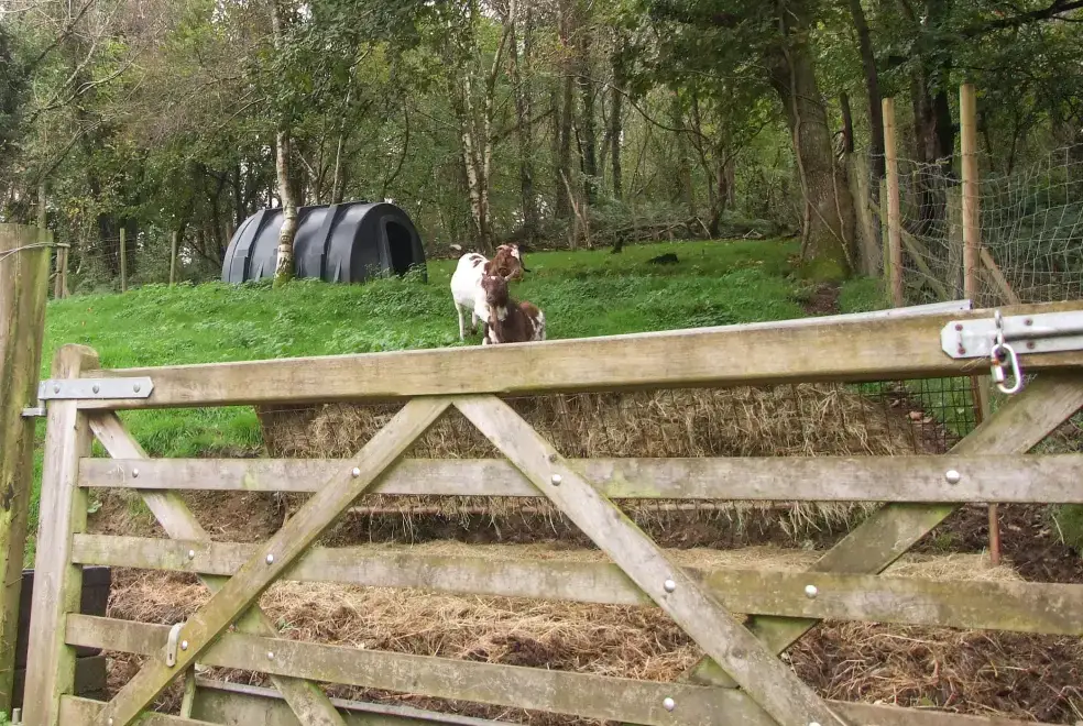 Countryside near The Woodlands Lower Level