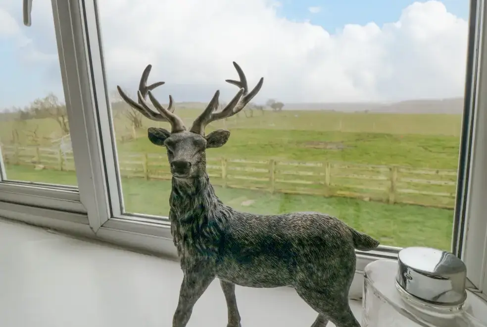 Countryside views at Tidkinhow Farm