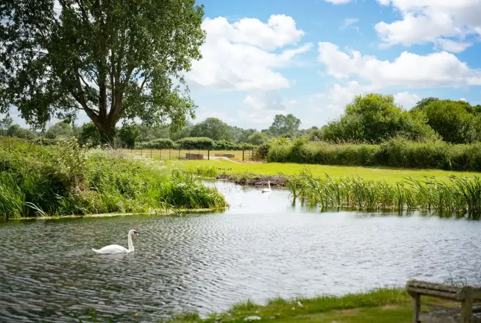 Lake view at Tincleton Lodge