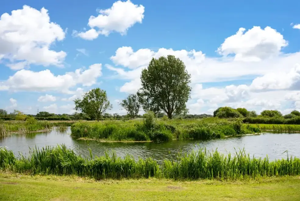 Countryside views at Tincleton Lodge